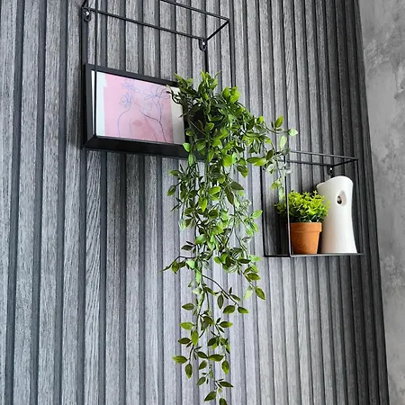 Luxury Apartment/studio شقة بلوفديف