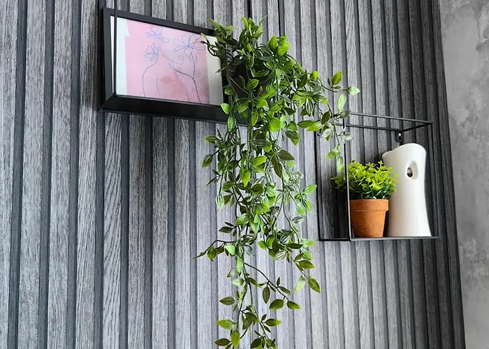 Luxury Apartment/studio 公寓 普罗夫迪夫